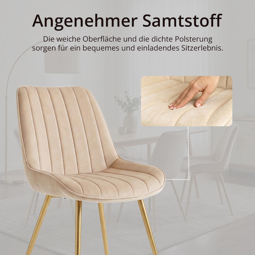 Esszimmerstühle Samt Beige mit Goldenen Metallbeinen